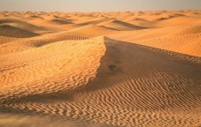 Safari privato nel deserto del mattino da Dubai