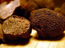 Degustazione Tartufo e Barolo