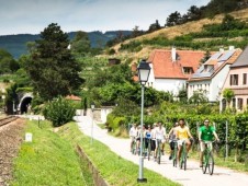 Wachau Winery Bike Tour