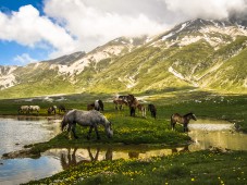 Menù Abruzzese