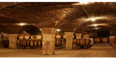 Degustazione di vini Grand Crus in Borgogna