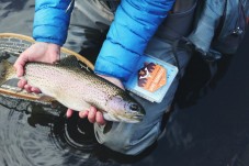 Regalo Pesca e Corso di Cucina Pescato Umbria