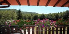 Trekking nel verde e soggiorno, Monte Amiata