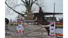 Lezione di equitazione per due in Maremma