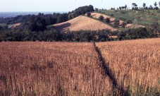 Cofanetto Family Attività e Soggiorno a Piacenza