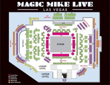 Biglietti per Magic Mike Live