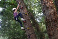 Arrampicata sugli alberi e corso corde