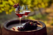 Visita in una cantina tipica fiorentina con degustazione di vini e cibo