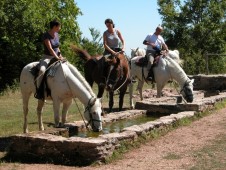 Una settimana con la mezza pensione in agriturismo e 6 passeggiate cavallo