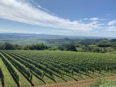 Tour guidato in e-bike tra le colline del Soave e del Valpolicella