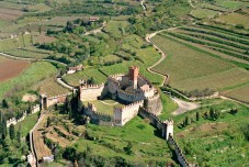 Soave medievale: tour di vino e olio d'oliva