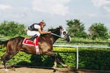 Esperienza di primo contatto con il cavallo e introduzione alla sella per bambini nei pressi di Trento.