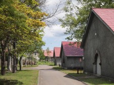 Wine and History Tour: Pécs, Siklós, and Villány with Tasting