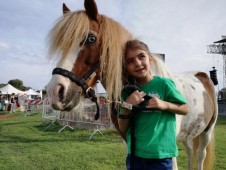 Noleggio Pony per Bambini - 2 ore con Soggiorno