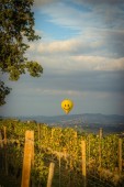 Alla scoperta delle Langhe - Weekend in Vespa stellato