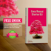 Coltiva il tuo Bonsai Starter Kit 