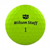 Regalo 12 Palline da Golf Professionali