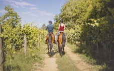 Passeggiata Romantica a Cavallo tra le Colline Senesi