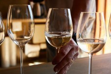 Degustazione 3 vini, visita vigna e cantina in Franciacorta
