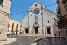 Caccia al tartufo in Puglia e Basilicata