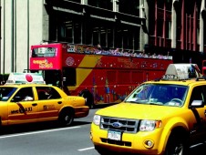 Visita al Madison Square Garden