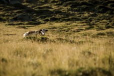 Escursione Rifugio Roma