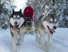 Escursione con cani da slitta sulle Dolomiti