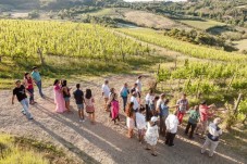 Wine Tour per 2 persone Montepulciano Toscana