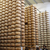 Tour e Degustazione alla Fabbrica di Parmigiano Reggiano a Maranello