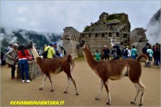 Viaggio Regalo in fuoristrada in Perù 1 Passeggero