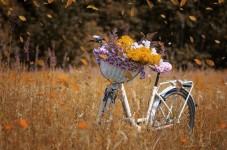 Tour della Valle del Bradano in bicicletta