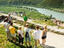 Wachau Winery Bike Tour