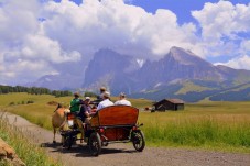 Passeggiata In Carrozza Per 3 Persone