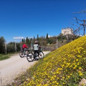Tour guidato in e-bike tra le colline del Soave e del Valpolicella