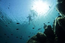 Un'esperienza di snorkeling per tutta la famiglia