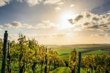 Colline del Prosecco in E-Bike