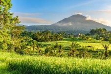 Bali All-Inclusive per 10 giorni