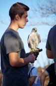 Avventura in Calabria - Esperienza Falconeria