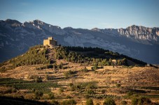 Tour di Vitoria e della regione vinicola della Rioja con visita in cantina 