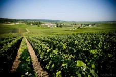 Prestigiosa Visita Guidata alle Cantine della Maison Canard Duchene