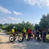 Olio di oliva bike tour - escursione guidata in e-bike tra colli e uliveti