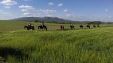 Lezione di equitazione