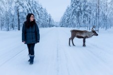 Viaggio di gruppo in Lapponia