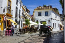 Tour di mezza giornata delle attrazioni di Barcellona