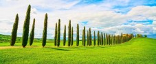 Vespa e Chianti Tour da San Gimignano