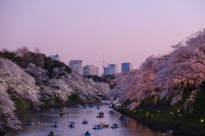 Viaggio a Tokyo per Due – 7 Notti con Volo e Hotel