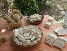 Corso di Formaggio e Ricotta