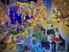 Soggiorno regalo 1 notte e Ingresso al Regno di Babbo Natale