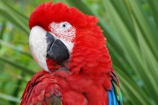 Biglietto per Bioparco di Roma – Scopri Oltre 1200 Animali a Villa Borghese