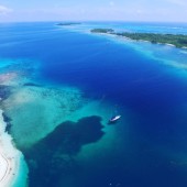 Buono Regalo Viaggio a Fernando de Noronha – Avventura Esotica in Brasile